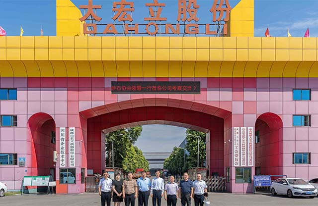 中国砂石协会领导一行莅临大宏立股份调研指导